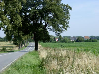 Holzendorf